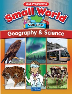 Small World | Book Categories | CJ Fallon